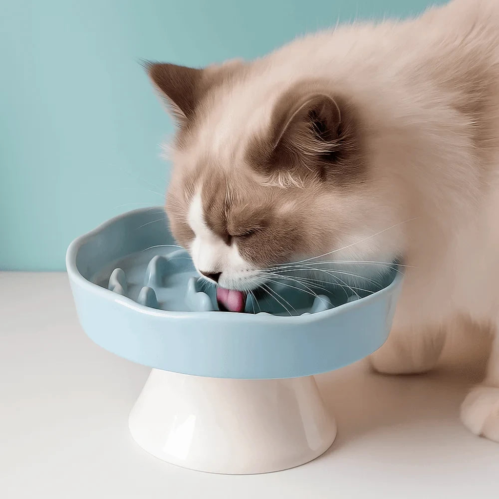 Ceramic Slow Feeder Cat Bowl