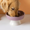 Ceramic Slow Feeder Cat Bowl
