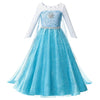 Princess Elsa Anna Costume Dress