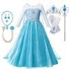 Princess Elsa Anna Costume Dress