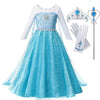 Princess Elsa Anna Costume Dress