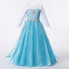 Princess Elsa Anna Costume Dress