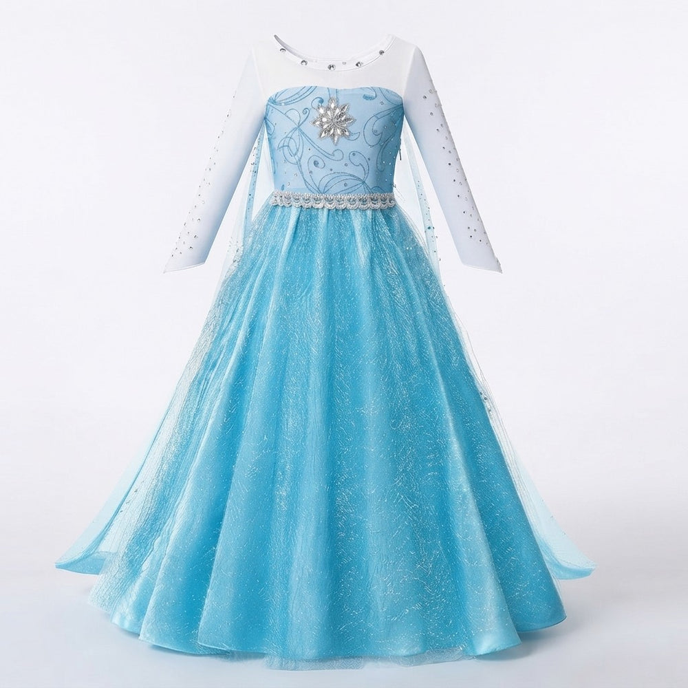 Princess Elsa Anna Costume Dress